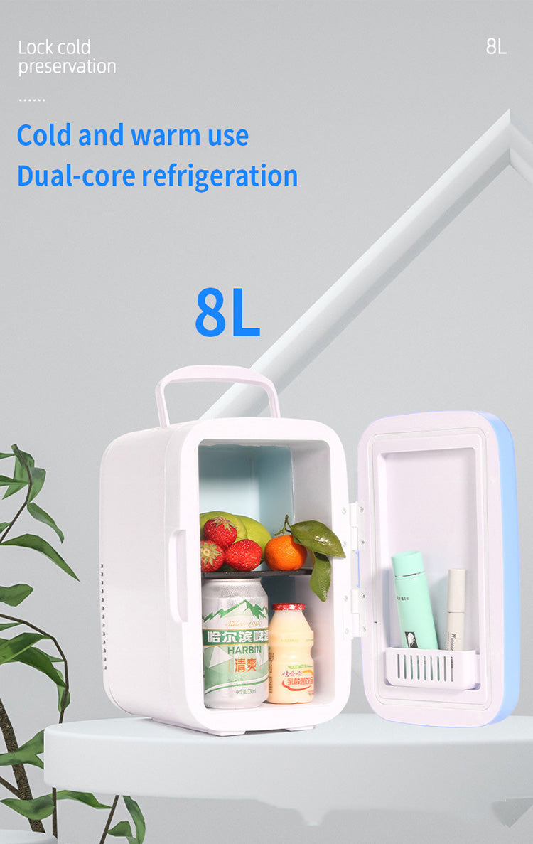 8L Electric Cooler Box Portable Refrigerator Demotic RV Refrigerator Skin Care Mini Fridge