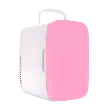 8L Electric Cooler Box Portable Refrigerator Demotic RV Refrigerator Skin Care Mini Fridge