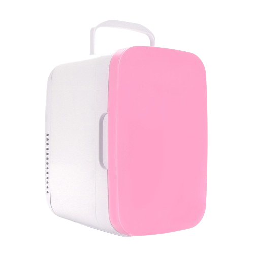 8L Electric Cooler Box Portable Refrigerator Demotic RV Refrigerator Skin Care Mini Fridge