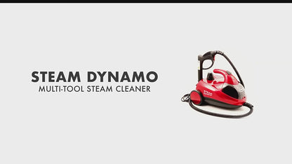 High Temperature and High Pressure Housekeeping Cleaning Handheld Steam Cleaner Efficient & Lightweight 2L DC 110-220V 1500W